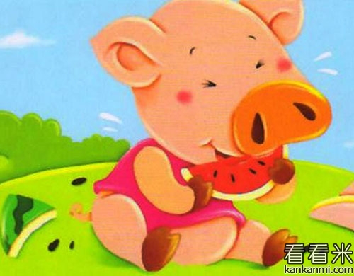 小猪吃西瓜的故事