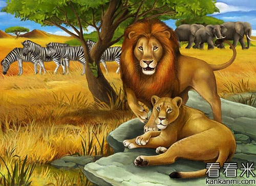 狮妈妈和小狮子爬山的故事